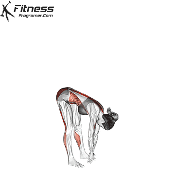 Ardha Uttanasana | Standing Half Forward Bend