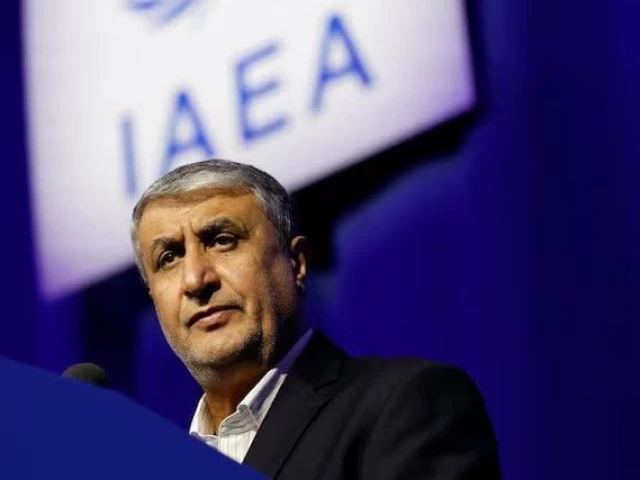 mohammad eslami head of the atomic energy organization of iran aeoi speaks at the opening of the international atomic energy agency iaea general conference at the agency s headquarters in vienna austria photo reuters