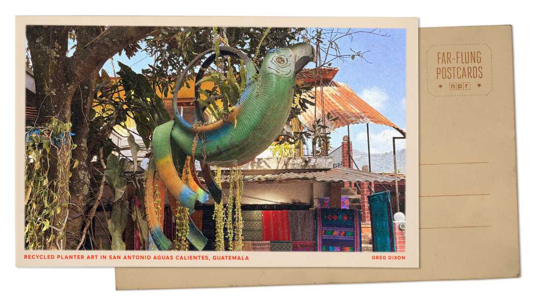 An image turned into a postcard shows a colorful hanging planter in the shape of a bird hanging from a tree.