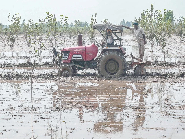 farmers plough a field in the village of shehzada on the outskirts of amritsar in indian punjab photo afp