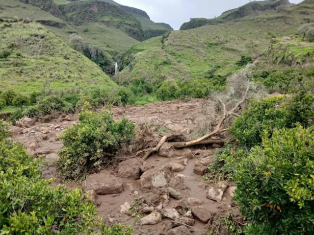 only one person survived the destruction of the village of tarseen in the mountainous jebel marra area of the darfur region said the sudan liberation movement army photo reuters