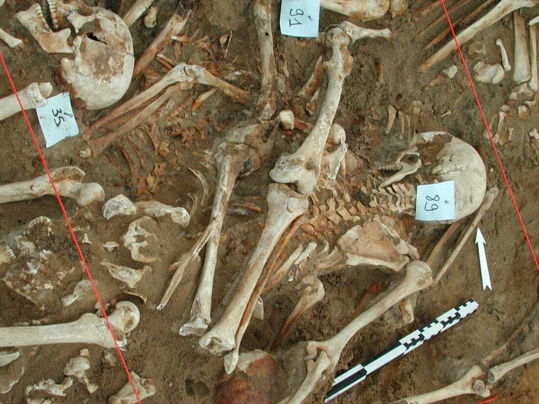 Two-to-three thousand soldiers from Napoleon’s army were found in a mass grave in the northern suburbs of Vilnius, Lithuania in 2001.