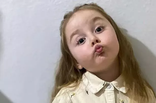 Berra Dizi