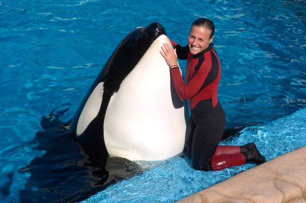 Dawn was one of SeaWorld