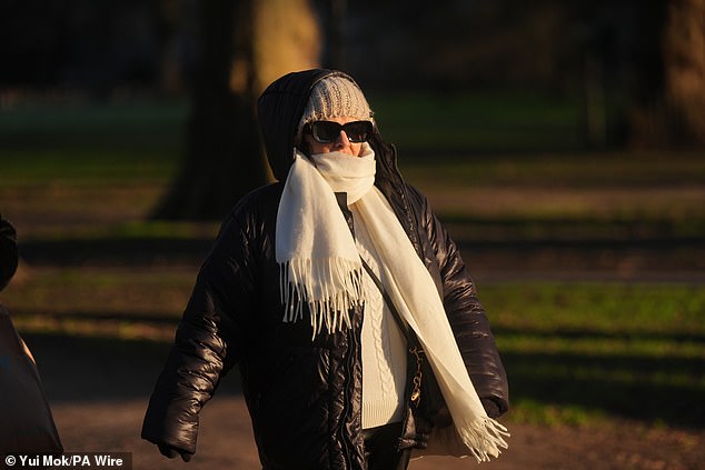 Millions of Americans are facing a dangerous freeze warning on Tuesday as temperatures drop below freezing across multiple states (stock image)