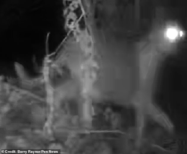 This is the jaw–dropping moment a