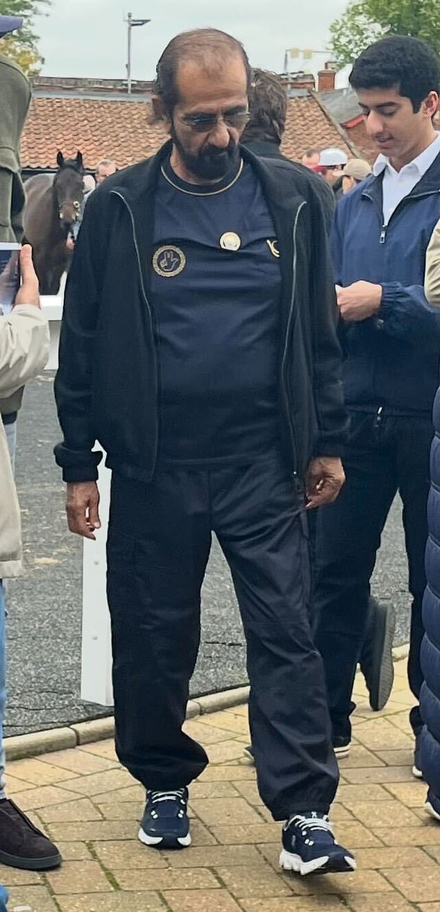 Sheikh Mohammed bin Rashid al Maktoum (above), the ruler of Dubai, his only public appearance of the year in Britain