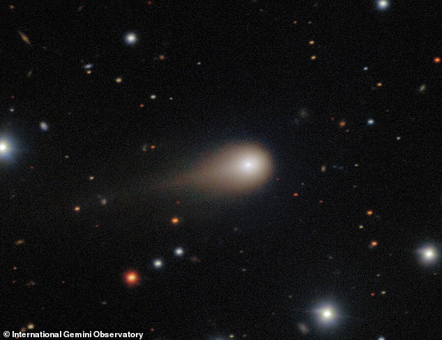 Harvard professor Avi Loeb told DailyMail.com that if the object, dubbed 3I/ATLAS, is a comet, it should