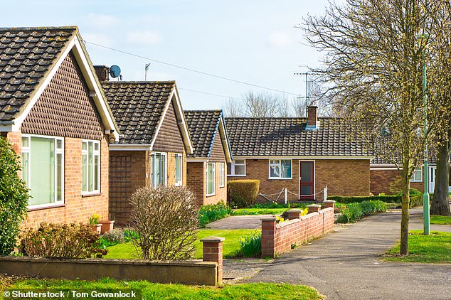 Streets ahead: John Tonkiss has called for the return of the bungalow to allow older homeowners to downsize