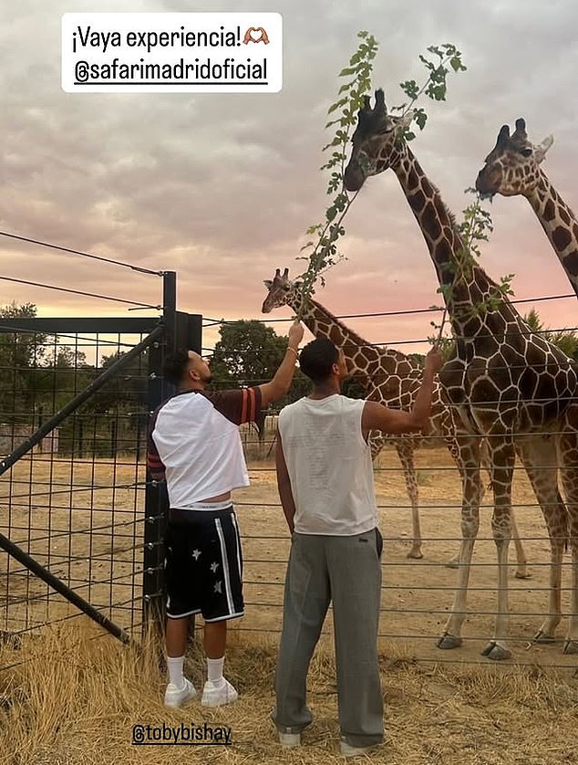 Jude Bellingham (right) is enjoying his downtime this international break by visiting Madrid Zoo