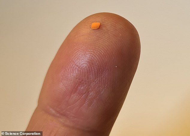 Measuring just 2mm x 2mm, the