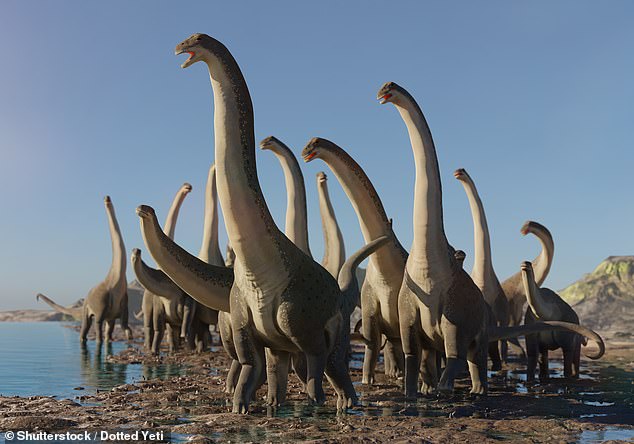 The fossil evidence suggests that there was wide variety of dinosaurs in New Mexico at the time of the impact – including huge creatures the size of a blue whale, dubbed Alamosaurus (artist