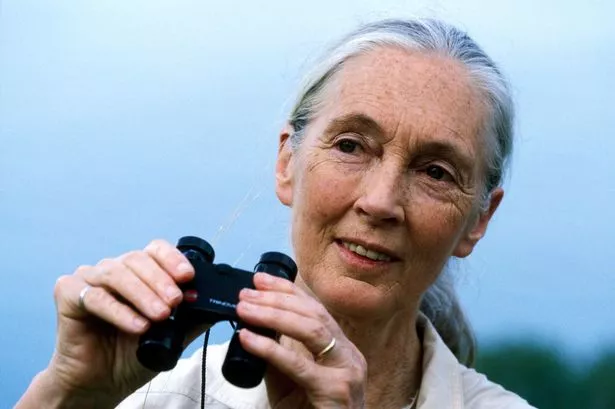 Dr Jane Goodall holding a pair of binoculars as she smiles into the distance