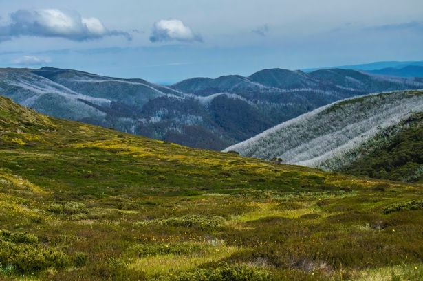 A photo of the Victoria highlands