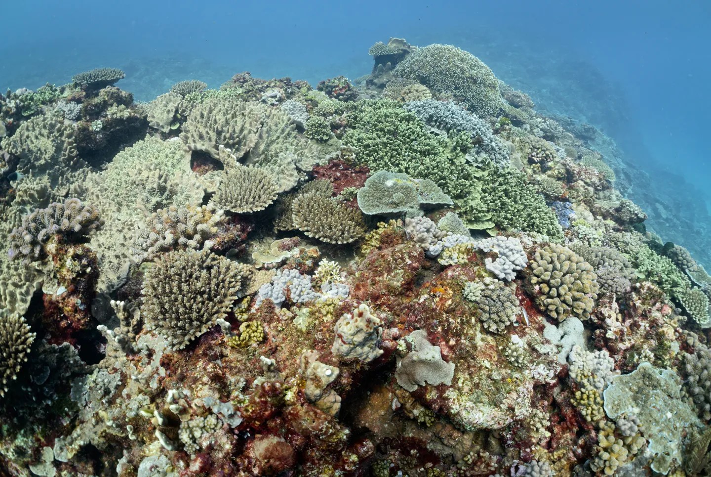 Long, skinny boats sit on a beach. Fishermen mingle between them.