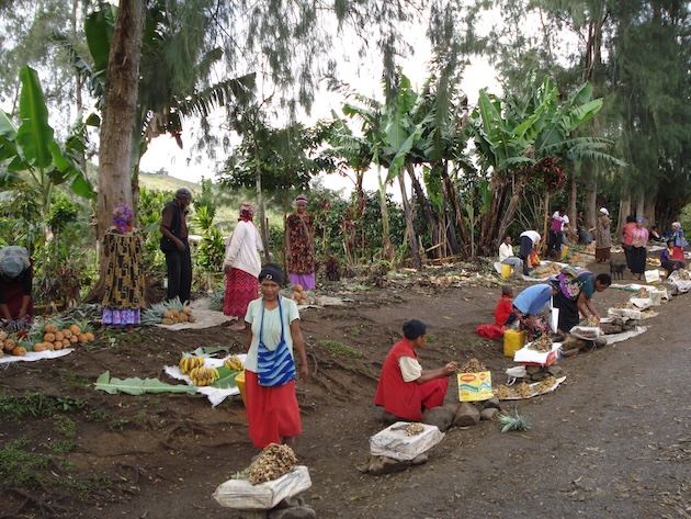 In Hela Province, in the distant interior of the PNG mainland, rural women would need to travel considerable distances by road or air to reach a hospital that provides breast screening mammograms. Credit: Catherine Wilson/IPS