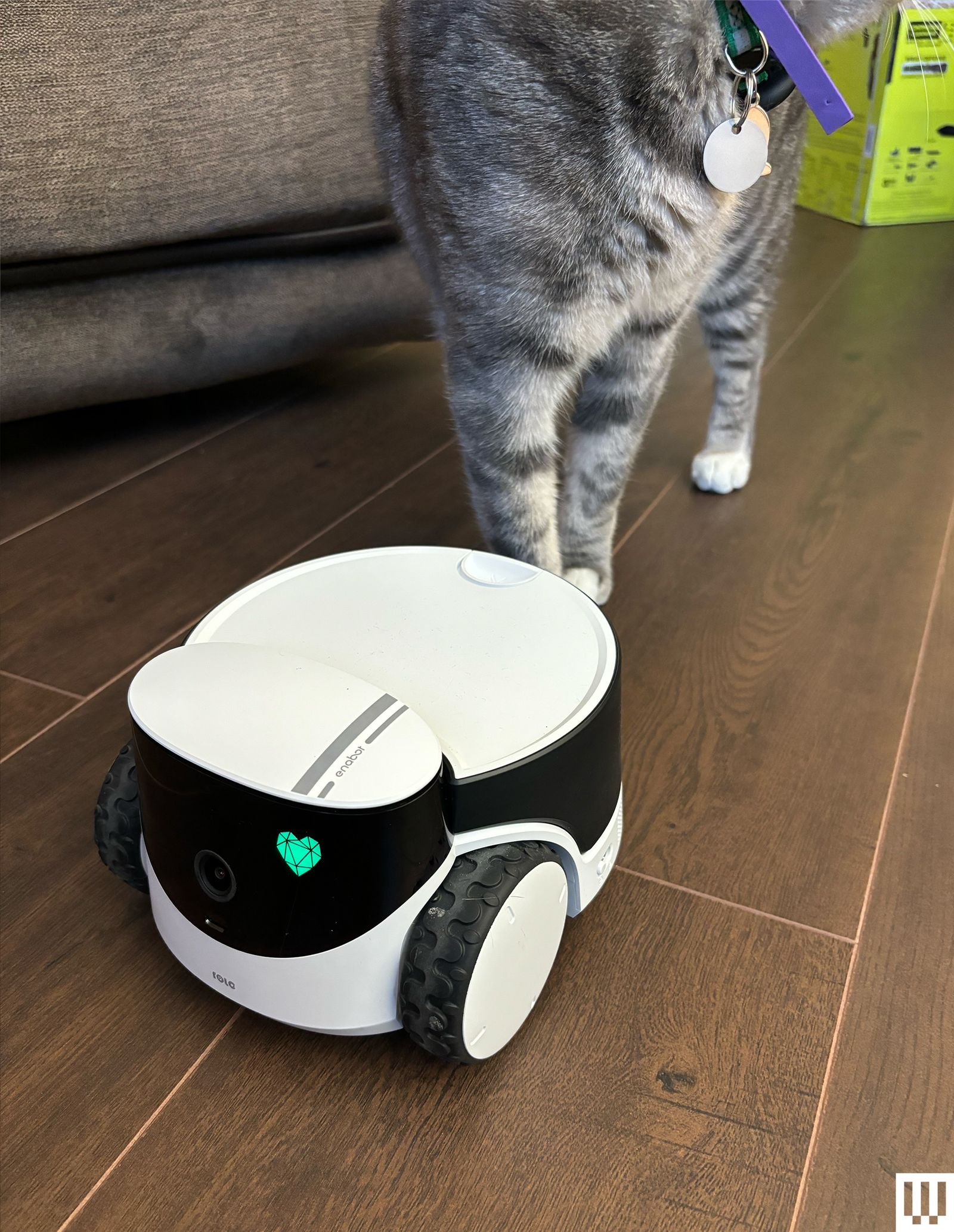 Enabot Rola PetPal Robot Pet Companion