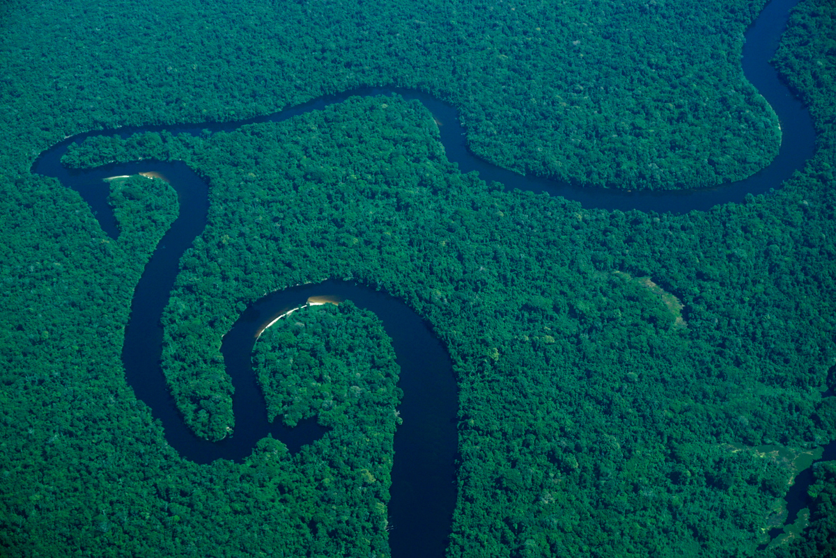 Aerial View over Amazon RainForest. © Rogério Assis / Greenpeace