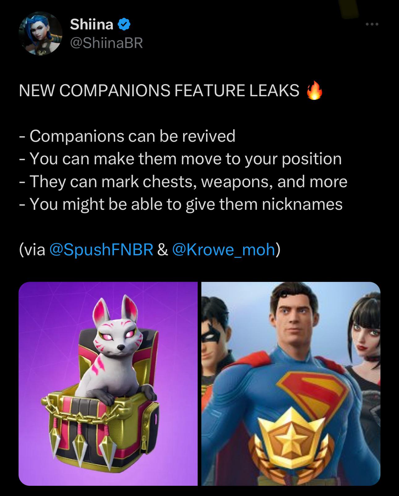 r/FortniteLeaks - Shiina NEW COMPANIONS FEATURE LEAKS - Companions can be revived - You can make them move to your position - They can mark chests, weapons, and more - You might be able to give them nicknames (via &
