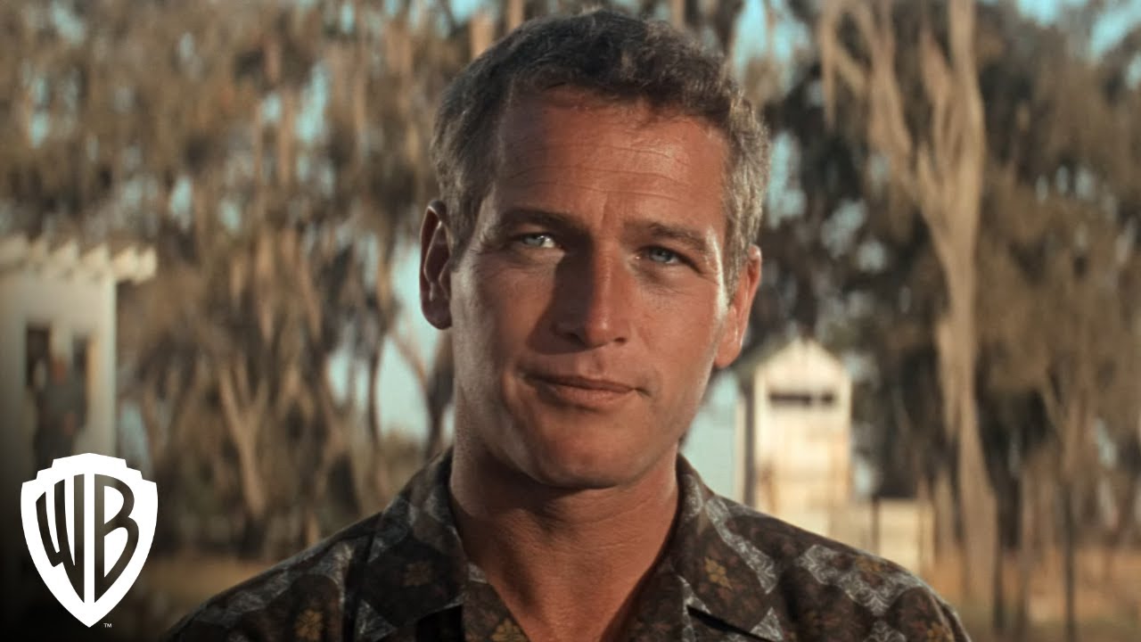 Cool Hand Luke | 4K Trailer | Warner Bros. Entertainment - YouTube